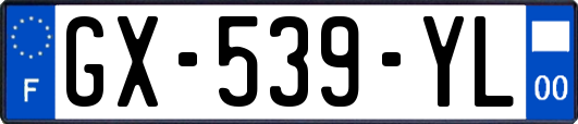 GX-539-YL