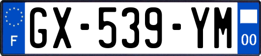 GX-539-YM