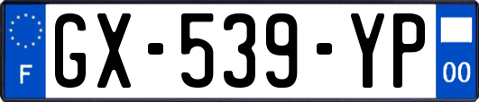 GX-539-YP