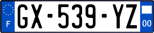 GX-539-YZ