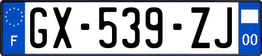 GX-539-ZJ
