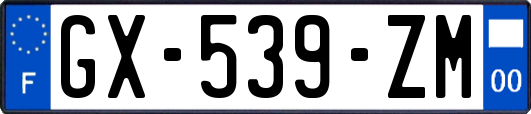 GX-539-ZM