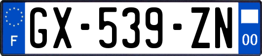 GX-539-ZN