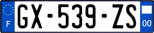 GX-539-ZS