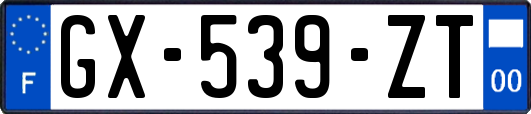GX-539-ZT