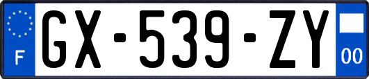 GX-539-ZY