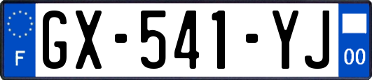 GX-541-YJ
