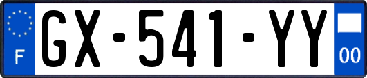 GX-541-YY