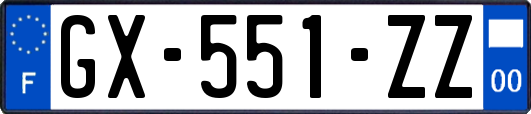 GX-551-ZZ