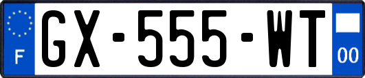 GX-555-WT