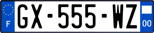 GX-555-WZ