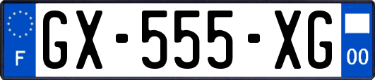 GX-555-XG