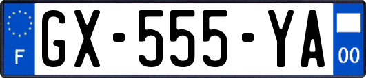GX-555-YA
