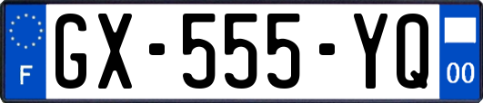 GX-555-YQ
