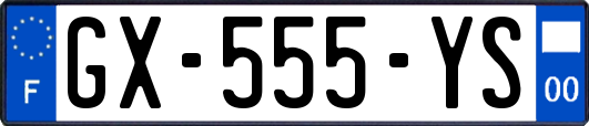 GX-555-YS
