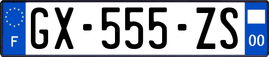 GX-555-ZS