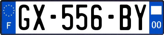 GX-556-BY