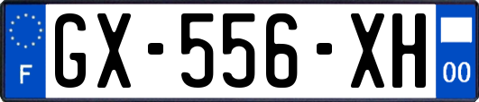 GX-556-XH