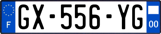 GX-556-YG