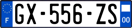 GX-556-ZS
