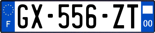 GX-556-ZT