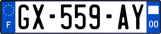 GX-559-AY
