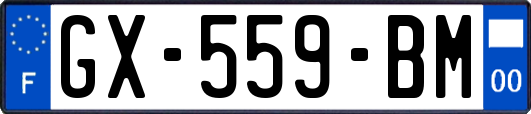 GX-559-BM
