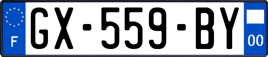 GX-559-BY