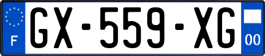 GX-559-XG