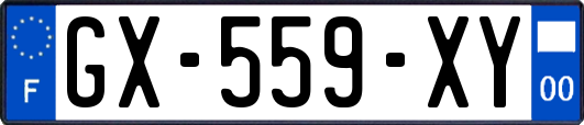 GX-559-XY