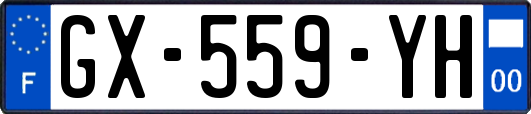 GX-559-YH