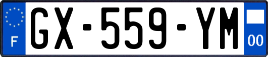 GX-559-YM