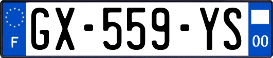 GX-559-YS