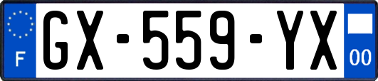 GX-559-YX