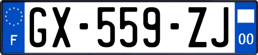 GX-559-ZJ