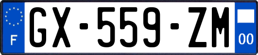 GX-559-ZM