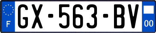 GX-563-BV