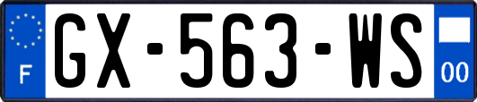 GX-563-WS