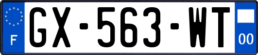 GX-563-WT