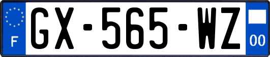GX-565-WZ
