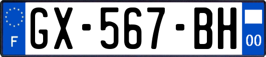 GX-567-BH