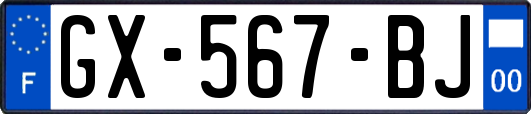 GX-567-BJ