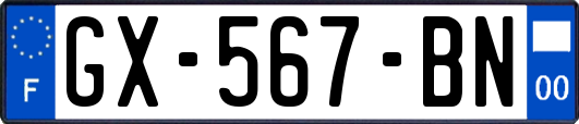 GX-567-BN