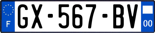 GX-567-BV