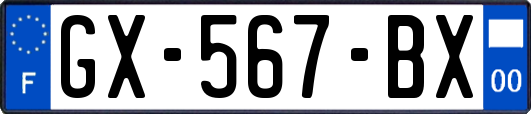 GX-567-BX