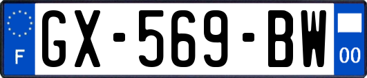 GX-569-BW