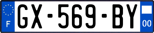 GX-569-BY