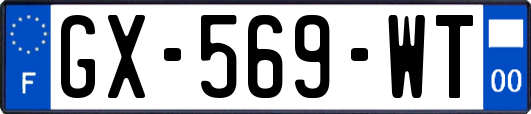 GX-569-WT