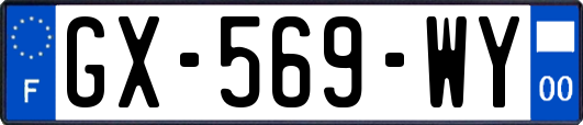 GX-569-WY