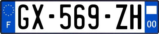 GX-569-ZH
